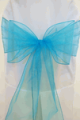 Turquoise Organza