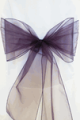 EggPlant Organza