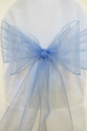 Perwinkle Organza