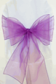 Purple Organza
