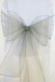 Silver Organza