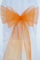 Tangerine Organza