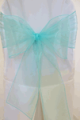 Aqua Organza